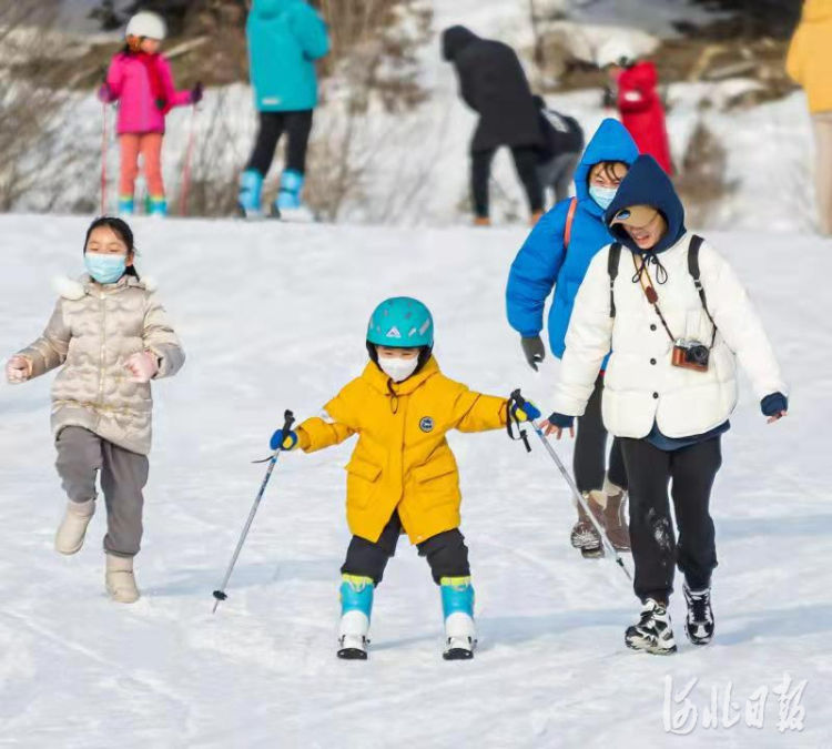 杨海斌|雪润燕赵