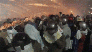 |搞笑GIF:大半夜的,你们要不要这么嗨啊