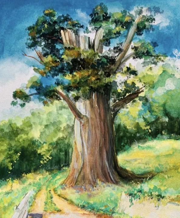 龙光服务龙光小小艺术家获奖作品新鲜出炉763幅书画作品竞风流