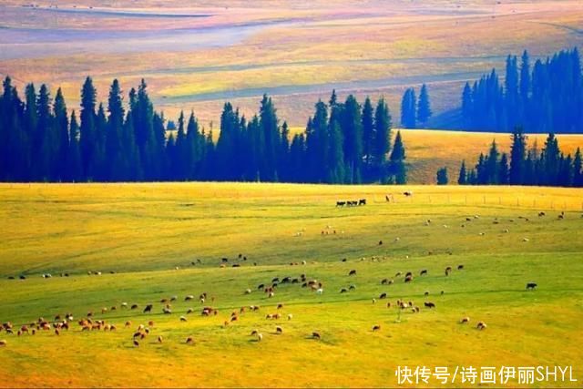 中薪|伊犁草原篇:特克斯喀拉峻