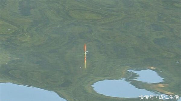 中鱼|用玉米粒钓大鱼,可以试试这几种调漂方法,快速简单,中鱼率高