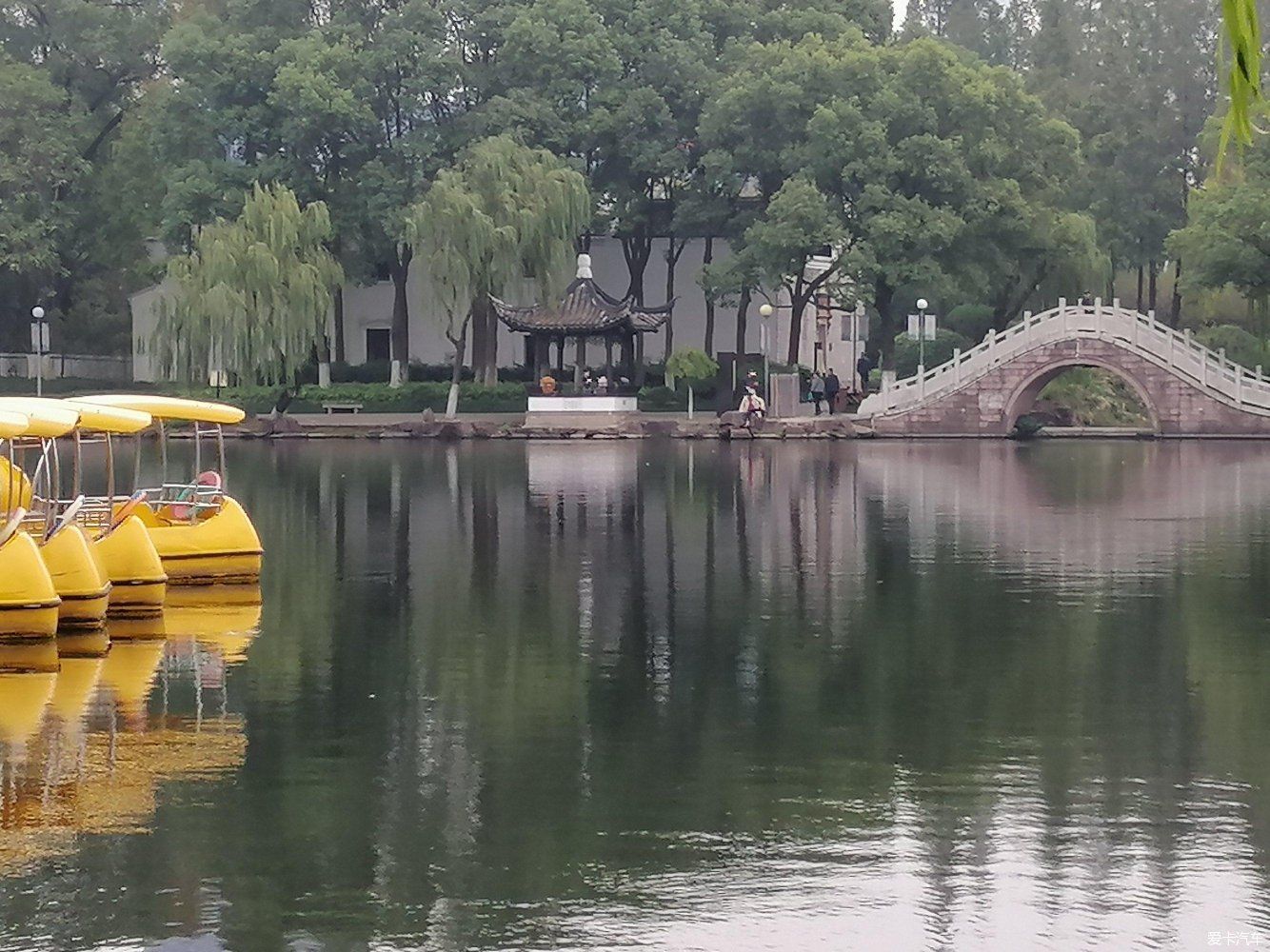 地标|晨游月湖园，误撞童槐家