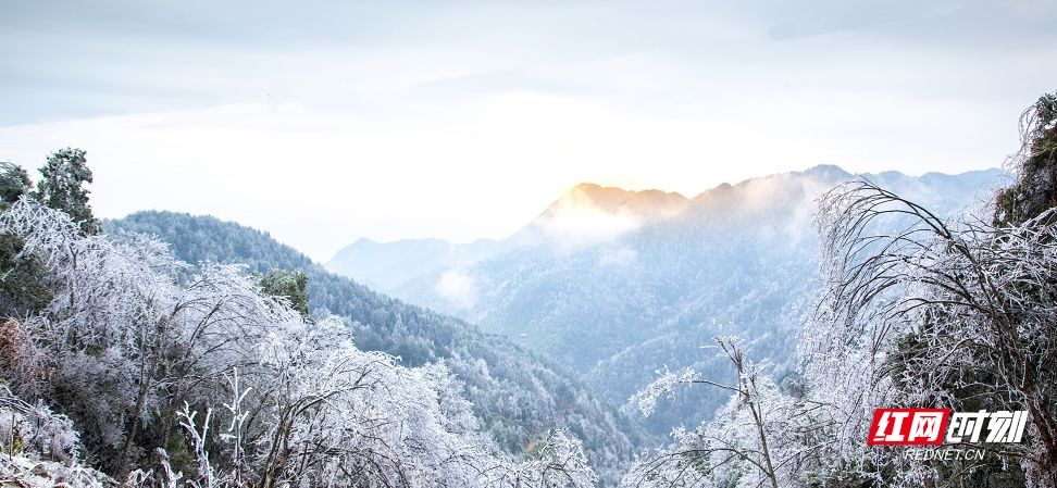 第一场雪|炎陵云上大院铁瓦仙 初春雪景如画