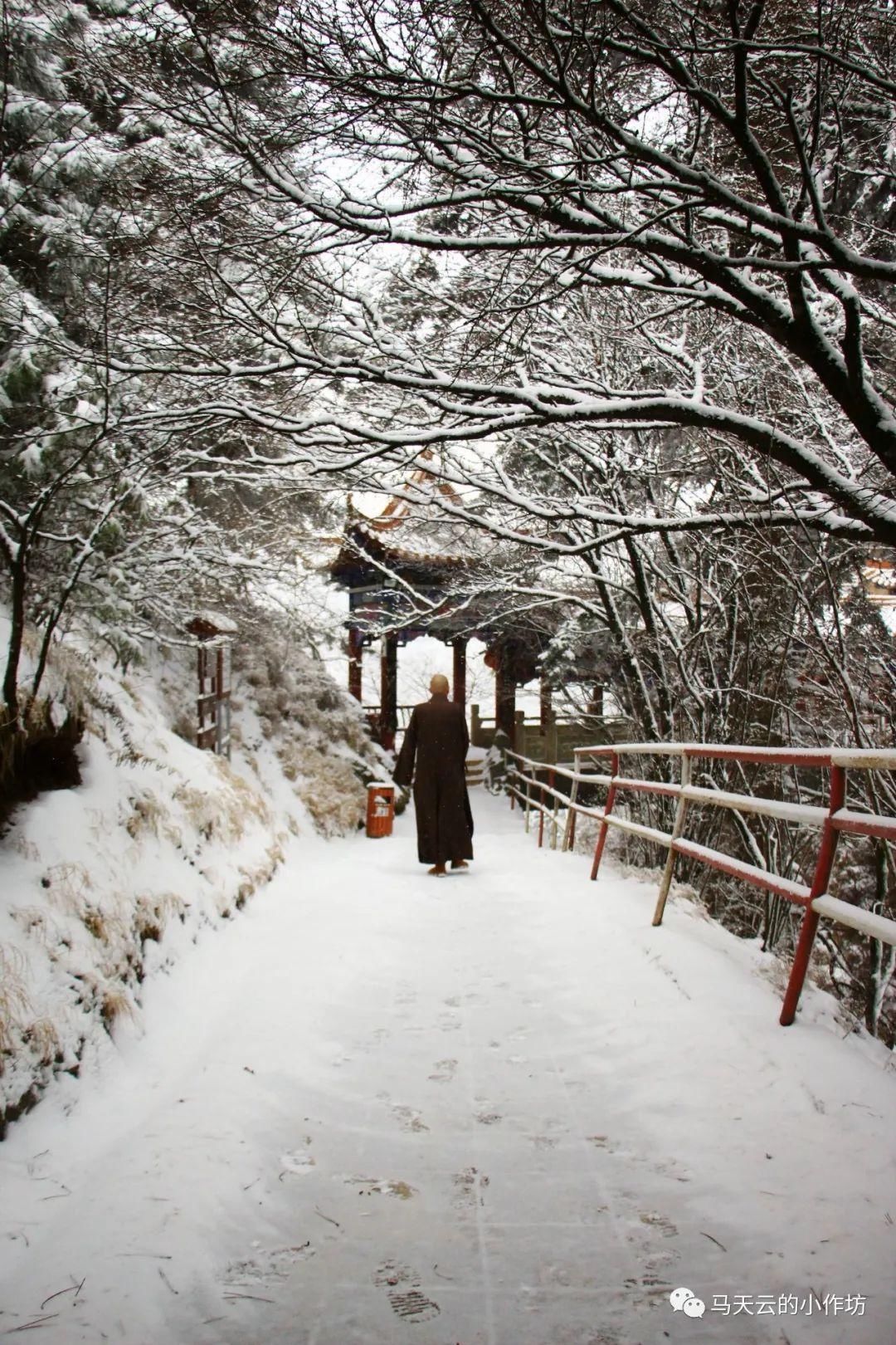 雪落贵清山|图胜千言| 雪落