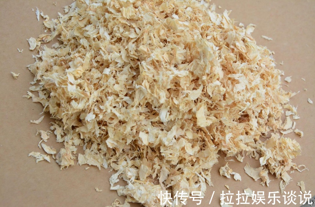 家里面几种垃圾不能扔,用来种花,是植物很好的肥料