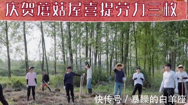 龔俊上|認真干活的男人真帥！龔俊上《中餐廳5》，洗碗摘菜全不落