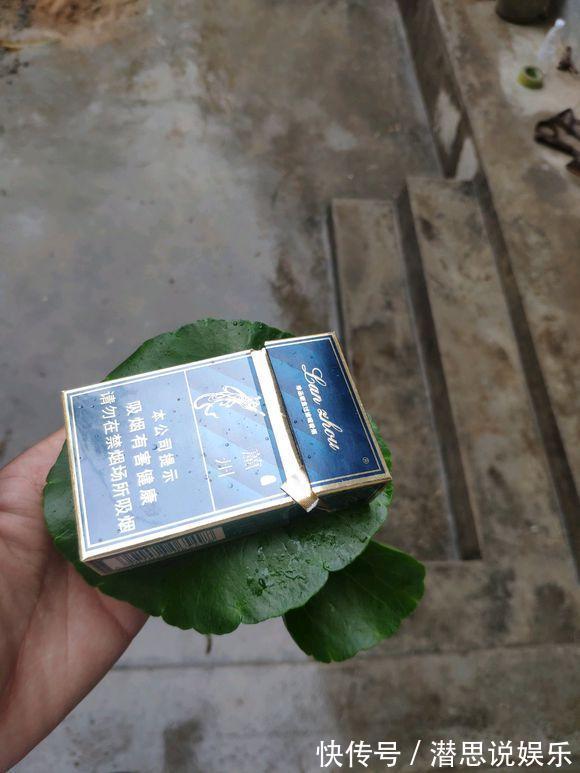 夏天里的“暴发户”,养盆铜钱草,天天爆盆,里里外外全是“钱”