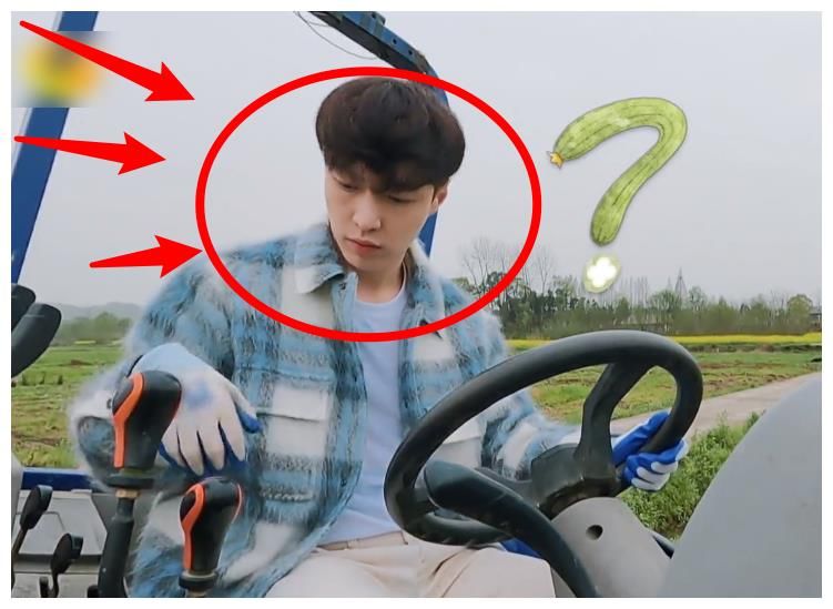 张艺兴来《向往5》充当工具人,忙得镜头都没有,黄磊彻底解放了