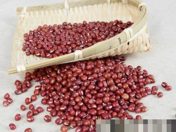 湿气太重不想动常吃4类祛湿食物,不仅排出湿气,还能去水肿