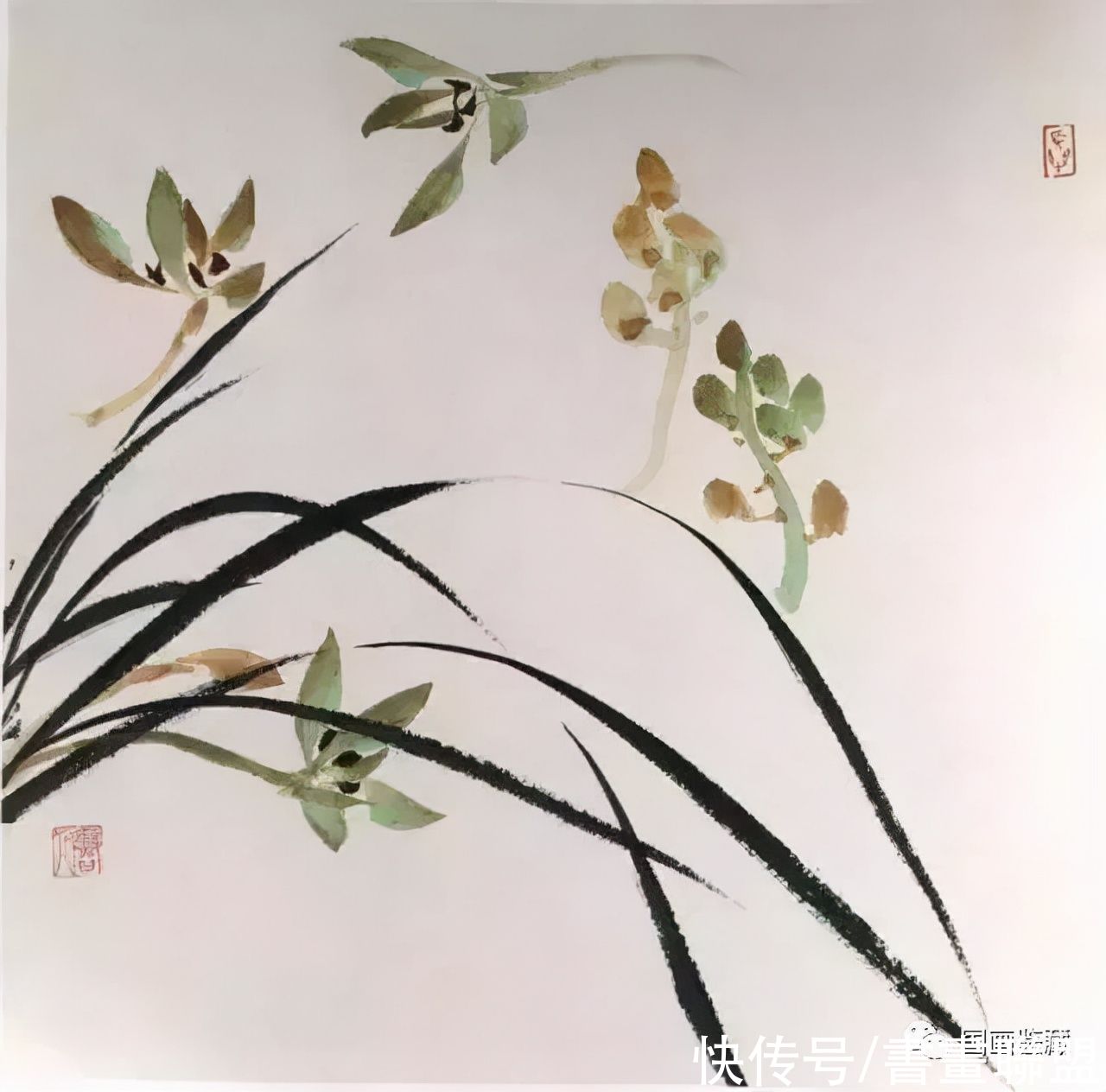 兰叶@国画兰花绘画技法，怎样画兰，兰与竹的组合画法教程