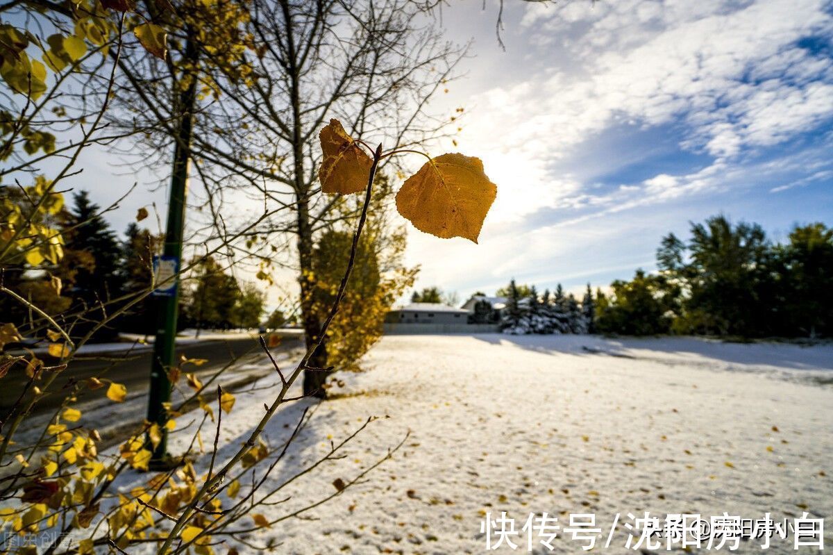 发财路|地产人，不是怕没年终奖，而是私密的发财路断了