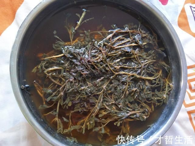 白菜|入冬后,白菜菠菜靠边站,此菜上桌最受欢迎,老人孩子都喜欢