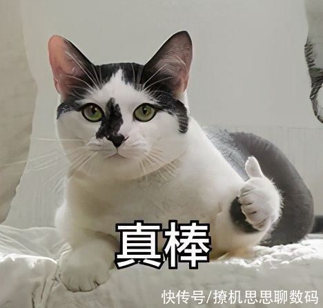 荣光|爷青回！高续航+1亿像素，红米Note系列还能否延续昔日荣光