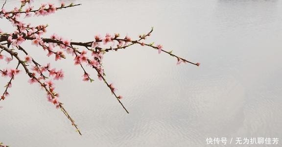 汉·韩婴|《韩诗外传》中的十则名言警句,值得好好品读。