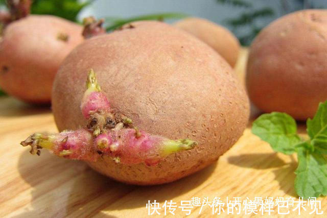 畸形|每5分钟就有一个畸形宝宝出生,孕期有6种食物会致畸,孕妈别碰