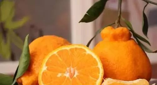 草莓|世界上最贵的水果,吃过3种以上的都是土豪啊