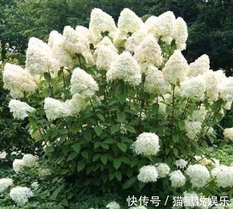 这9种花园,随便1个都美上天了,有一种这辈子就满足了!