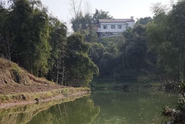 小编|河里钓了条鱼,外观像白条鱼,嘴型像马口鱼,求鉴定,这是什么鱼