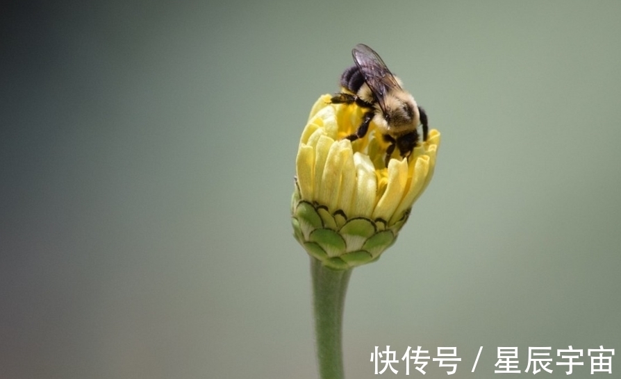 生肖狗|7月底，跌跌撞撞心不甘，3生肖历经风雨，爱情重见天日，白头偕老