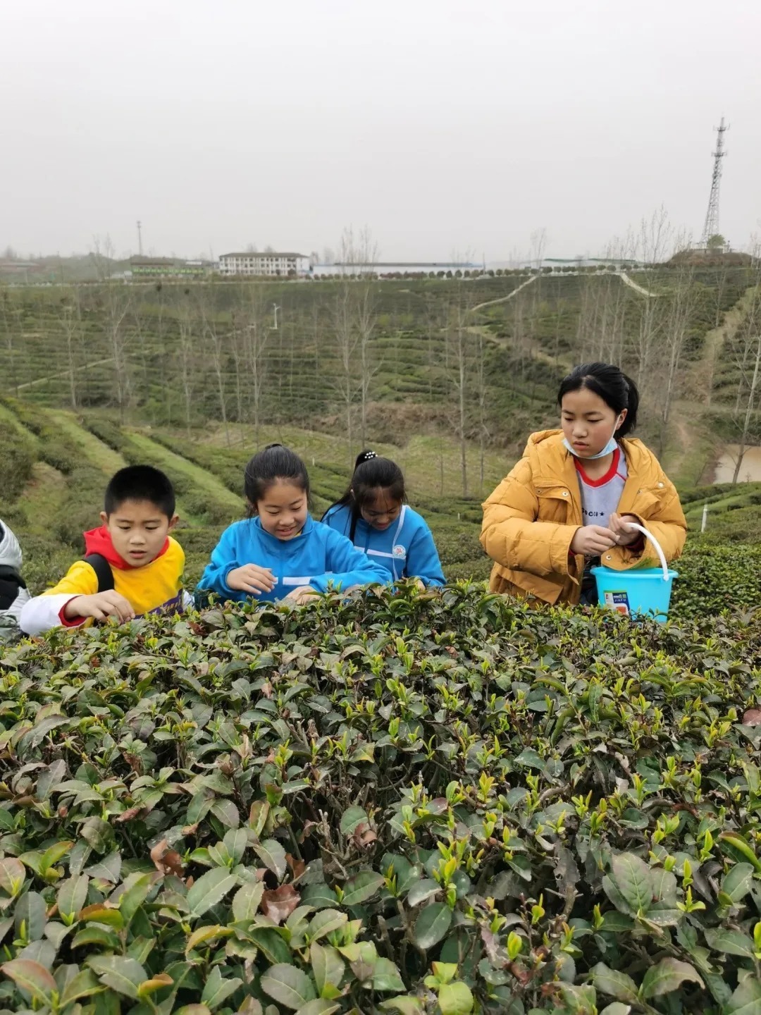 行走的课堂 灵动的童年：随州外国语学校南关口校区高段班级社会实践活动