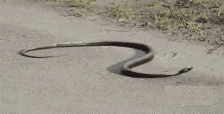 |搞笑GIF：小伙子，这就是嘚瑟的后果，这一下腰估计要废了