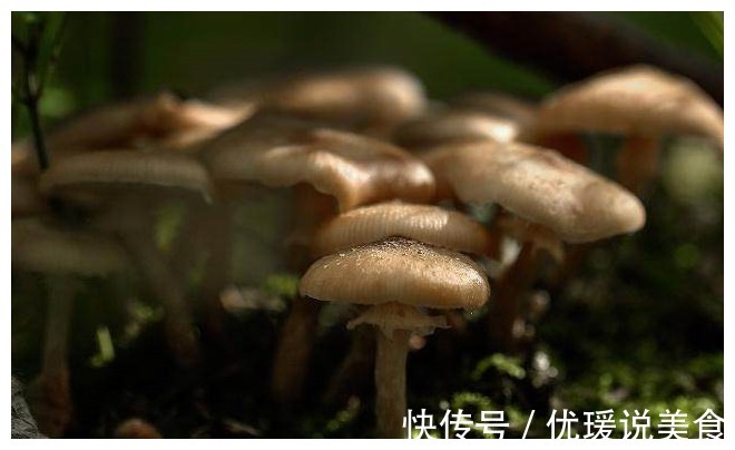 饿死|“癌细胞”最怕的3种食物,尽量多吃,可能会对你身体有好处!