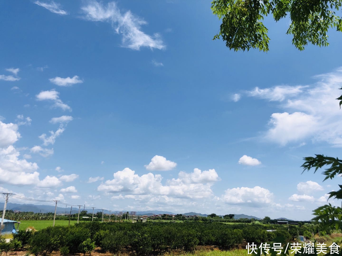 姜棗茶|夏天要懂得吃姜，這一杯姜棗茶真的不能錯(cuò)過(guò)，可以一直喝到秋天前