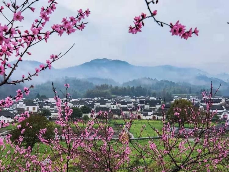 振兴|乡村旅游：风生水起，形神兼备