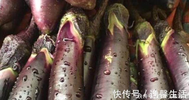 经验|买茄子时，选直的还是弯的老菜农分享经验，以后不要买了