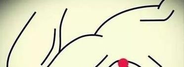 研究发现|肝不好、心脏也不好,拍打此处,一箭双雕!