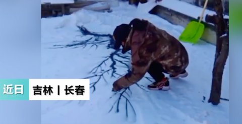  小学|陕西小学美术老师雪地中扫出巨幅雪竹图，网友：这就是“胸有成竹“吧