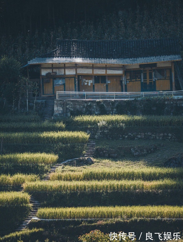 秋色|贵北纵贯线：四面山极致风光和梧桐山民宿