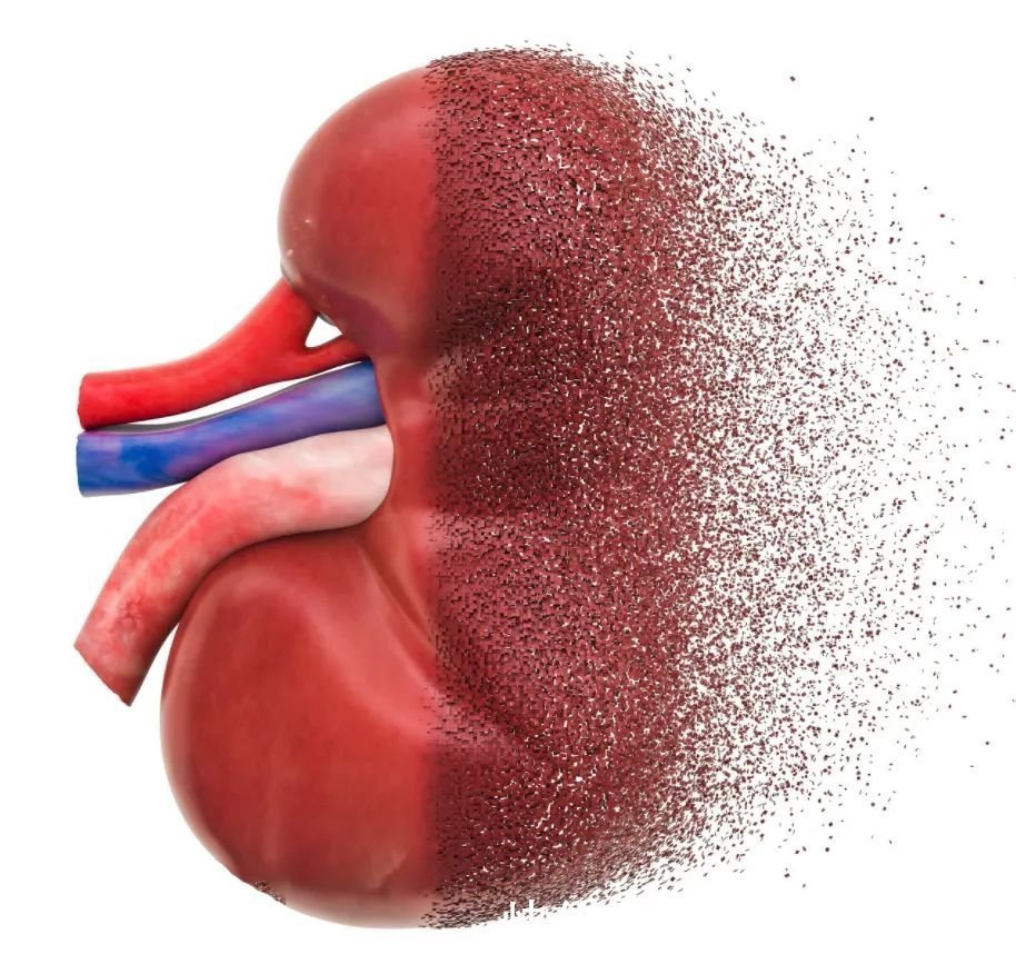 氨基酸|肾虚的人,请记住,晨起两坚持,晚上两不要,让肾慢慢强大起来