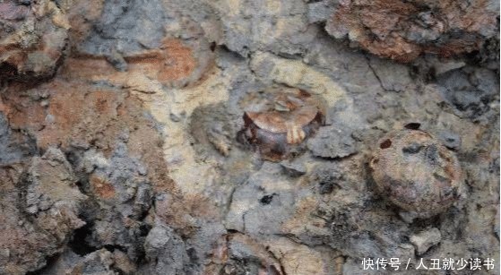 辣条|长在土里的“3种”水果,我赌一大箱辣条,你只吃过其中一种!