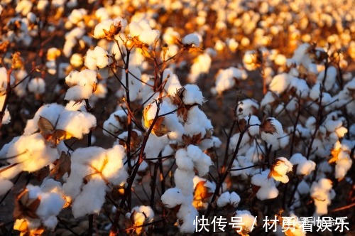 金匮要略|张仲景大补虚劳的一个方子,气血两虚、脾胃虚弱、肾虚都可用