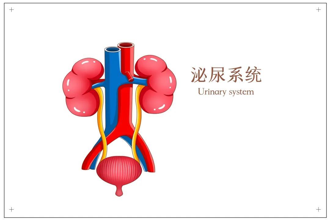 前列腺炎|憋尿憋到尿血，你所知道憋尿的危害还远远不够......