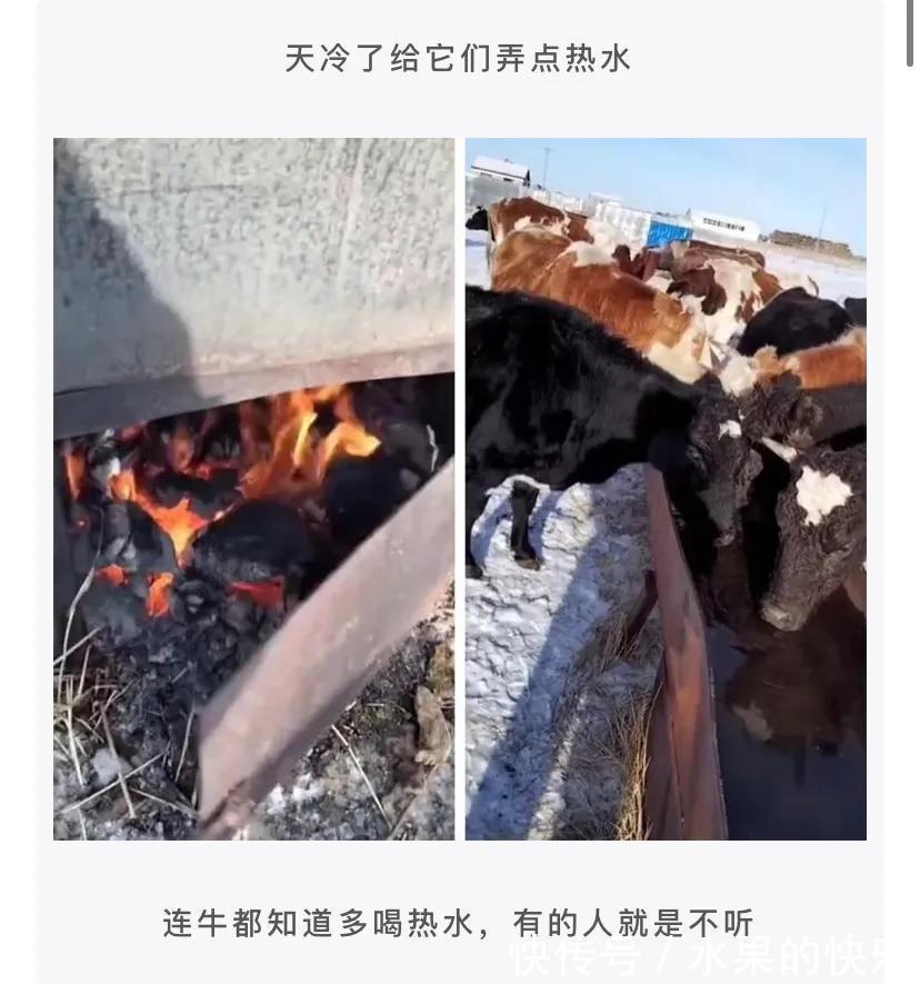 |神评段子合集:罗老师这种专门讲课的律师,真正打官司的水平怎么样?