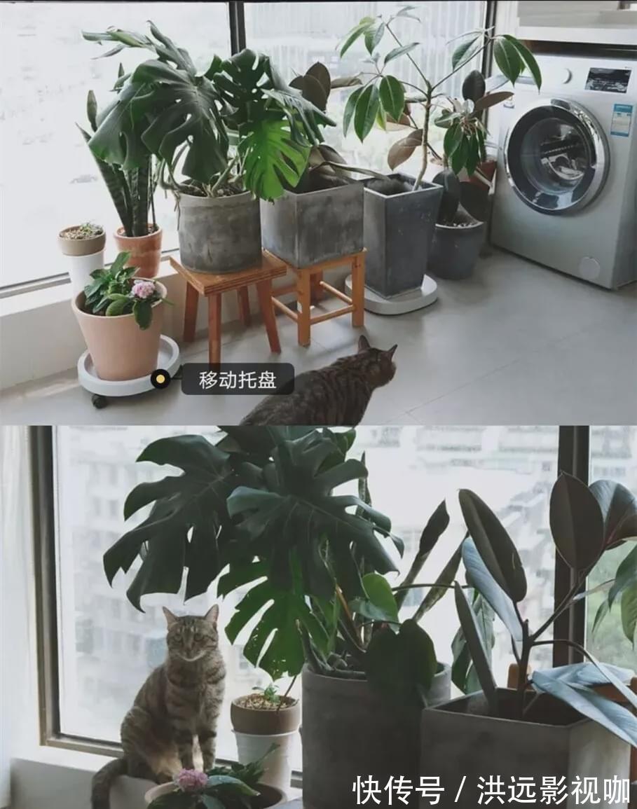 收纳|我家阳台用了4年越用越舒服,天天有人取经如何装修,必须晒晒