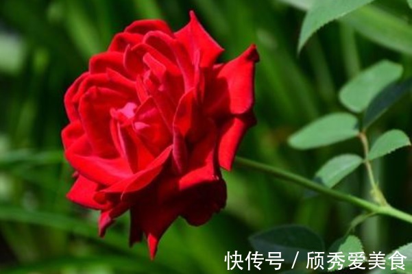 太上感应篇@俗话说:赚得金山一座,不如多积阴德,想发大财,多做4件积德事