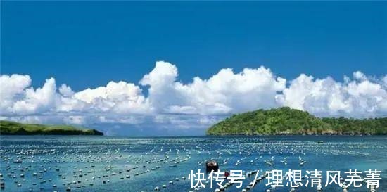 |讲个笑话汤加火山一喷发,獐子岛赢麻了!