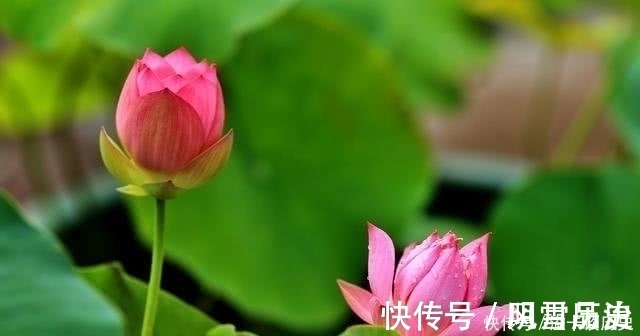 功成!老子:悟道的人,无论做什么事,始终守住这条天规