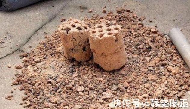 家庭|家庭养花必不可少的4种“好材料”,不花一分钱,配土透气又透水