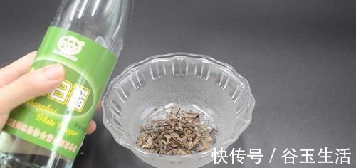 茶叶放白醋里泡一泡，真是厉害了，解决家家都困扰的烦恼，太棒了