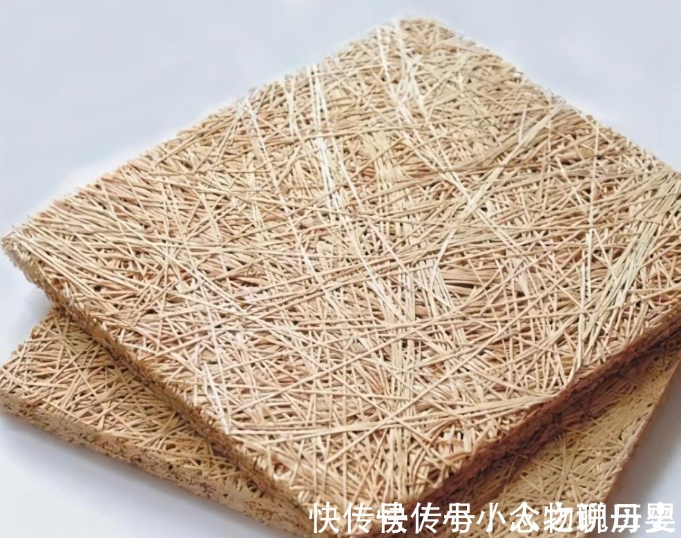 大面积|邻居家竟然一点噪音都没有,参观之后才明白,隔音工作好重要