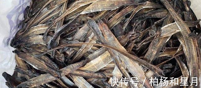 秋末初冬野钓,试试羊油蚯蚓,效果谁用谁知道!