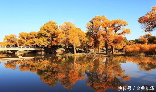 奋斗|马识途人到五十,有一件事比奋斗重要,谁能做到就是成功