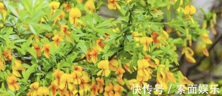 增强体质|想长寿要会吃，常食三种食物，美容养颜，增强体质，预防疾病