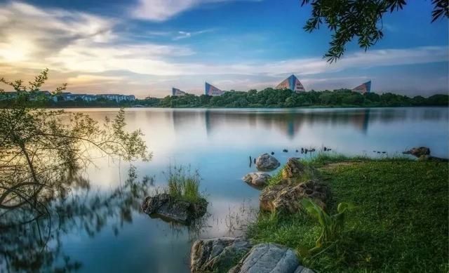 低薪|东莞“小蛮腰”刷屏朋友圈！牛年这些景点很“红”