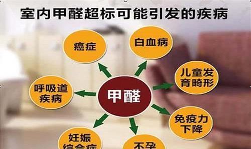 甲苯|新房装修完万万别急着入住，听内行人一说，真懊悔没早知道