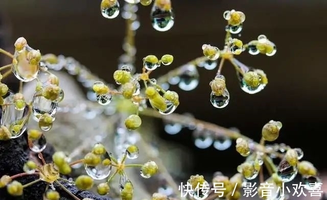 生活|2022年运气最差的4个生肖，生活会遇到很多困难，有磨难有坎坷